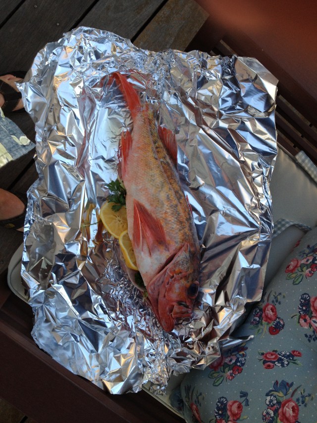 Ralph, the fat Bandit Fish, and our real Guest of Honor