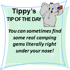 Right Under your Nose